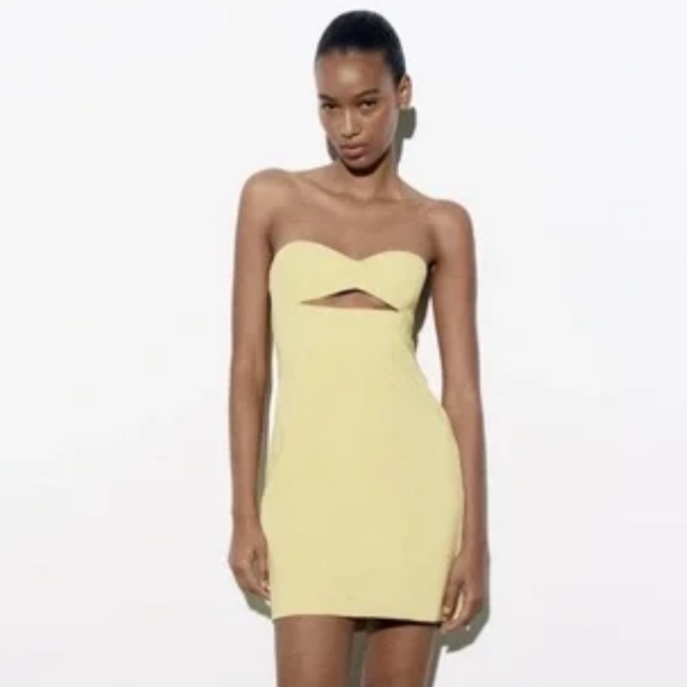 Zara Strapless Cut Out Dress